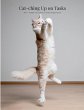 Cat-ching Up on Tasks - Bild 1