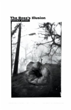 Cover The Boss's Illusion