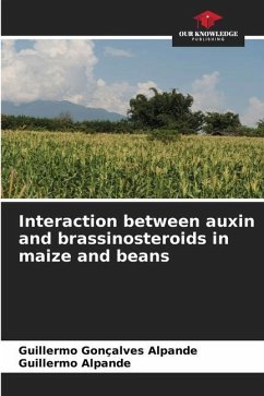 Interaction between auxin and brassinosteroids in maize and beans - Gonçalves Alpande, Guillermo;Alpande, Guillermo