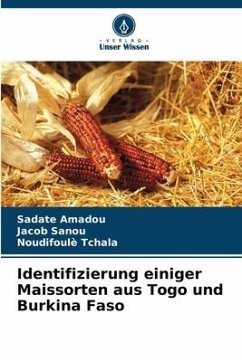 Identifizierung einiger Maissorten aus Togo und Burkina Faso - Amadou, Sadate;Sanou, Jacob;Tchala, Noudifoulè