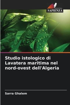 Studio istologico di Lavatera maritima nel nord-ovest dell'Algeria - Ghalem, Sarra