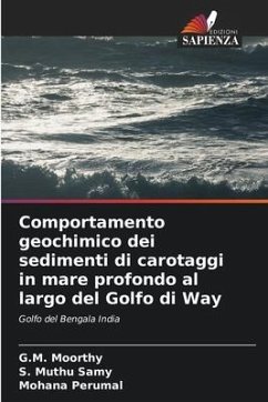 Comportamento geochimico dei sedimenti di carotaggi in mare profondo al largo del Golfo di Way - Moorthy, G.M.;Samy, S. Muthu;Perumal, Mohana