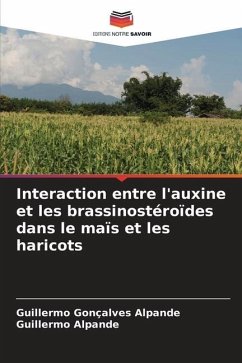 Interaction entre l'auxine et les brassinostéroïdes dans le maïs et les haricots - Gonçalves Alpande, Guillermo;Alpande, Guillermo