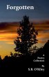 Forgotten - Bild 1