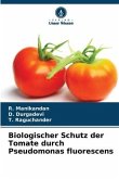 Biologischer Schutz der Tomate durch Pseudomonas fluorescens
