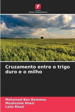 Cruzamento entre o trigo duro e o milho - Ben Bammou, Mohamed;RHAZI, Mouhssine;RHAZI, Laila