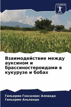 Vzaimodejstwie mezhdu auxinom i brassinosteroidami w kukuruze i bobah - Gonsalwes Alpande, Gil'ermo;Al'pande, Gil'ermo