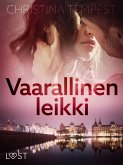 Vaarallinen leikki - eroottinen novelli (eBook, ePUB)