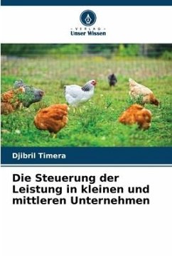 Die Steuerung der Leistung in kleinen und mittleren Unternehmen - Timéra, Djibril