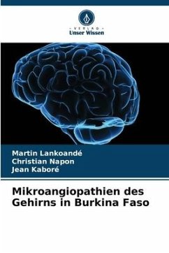 Mikroangiopathien des Gehirns in Burkina Faso - Lankoandé, Martin;Napon, Christian;Kaboré, Jean