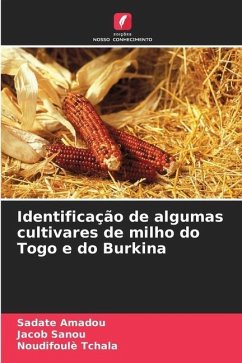 Identificação de algumas cultivares de milho do Togo e do Burkina - Amadou, Sadate;Sanou, Jacob;Tchala, Noudifoulè