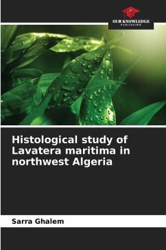 Histological study of Lavatera maritima in northwest Algeria - Ghalem, Sarra