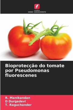 Bioprotecção do tomate por Pseudomonas fluorescenes - Manikandan, R.;Durgadevi, D;Raguchander, T.