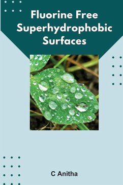 Fluorine free superhydrophobic surfaces - Anitha, C.