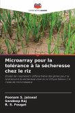 Microarray pour la tolérance à la sécheresse chez le riz