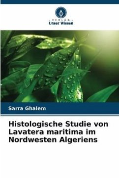 Histologische Studie von Lavatera maritima im Nordwesten Algeriens - Ghalem, Sarra