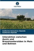 Interaktion zwischen Auxin und Brassinosteroiden in Mais und Bohnen