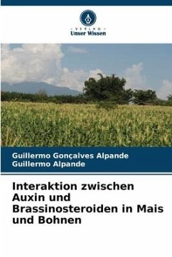 Interaktion zwischen Auxin und Brassinosteroiden in Mais und Bohnen - Gonçalves Alpande, Guillermo;Alpande, Guillermo