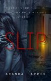 SLIP (eBook, ePUB)