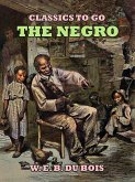 The Negro (eBook, ePUB)