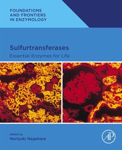Cover Sulfurtransferases (eBook, ePUB)
