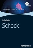 Lehrbrief Schock (eBook, PDF)