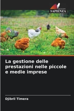 La gestione delle prestazioni nelle piccole e medie imprese - Timéra, Djibril