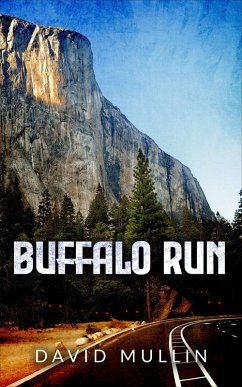 Buffalo Run (eBook, ePUB) - Mullin, David