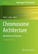 Chromosome Architecture - Bild 1