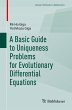 A Basic Guide to Uniqueness Problems... - Bild 1