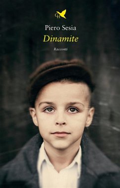 Cover Dinamite (eBook, ePUB)