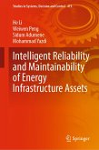 Intelligent Reliability and Maintainability of Energy Infrastructure Assets (eBook, PDF)