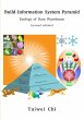Build Information System Pyramid - Bild 1