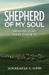 Shepherd of My Soul (eBook, ePUB) - Bild 1