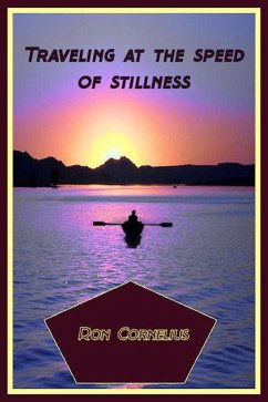 Cover Traveling at the Speed of Silliness (eBook, ePUB)