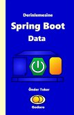 Derinlemesine Spring Boot Data (eBook, ePUB)
