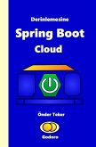 Derinlemesine Spring Boot Cloud (eBook, ePUB)