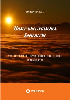 Unser überirdisches Seelenerbe (eBook, ePUB) - Kleinlein, Martina