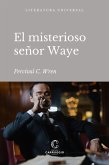 El misterioso señor Waye (eBook, ePUB)