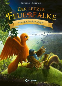 Image of Der letzte Feuerfalke und die dunkle Magie / Der letzte Feuerfalke Bd.6