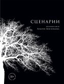 Сценарии кинофильмов Андрея Звягинцева (eBook, ePUB)