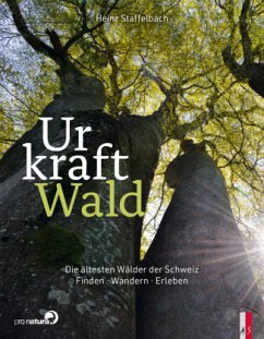 Urkraft Wald - Staffelbach, Heinz