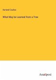 What May be Learned from a Tree