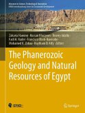 The Phanerozoic Geology and Natural Resources of Egypt (eBook, PDF)