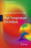 High Temperature Electrolysis (eBook, PDF)