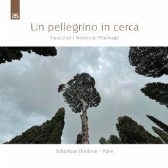 Cover Un Pellegrino In Cerca