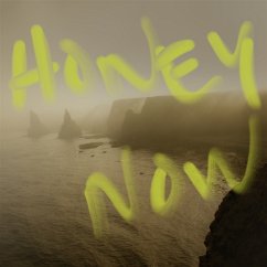 Honey Now - Neon Waltz