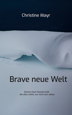 Brave neue Welt (eBook, ePUB)