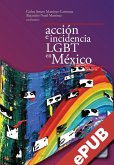 Acción colectiva e incidencia LGBT en México (eBook, ePUB)