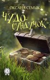 Miracle chest (eBook, ePUB)